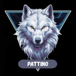 Pattino icon